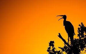 北寧市玻璃包裝有限責(zé)任公司