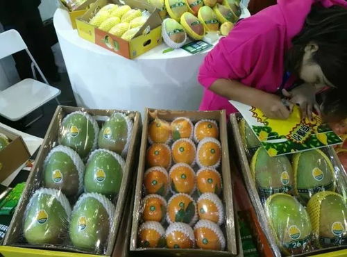 大豐收 攀枝花特色農(nóng)產(chǎn)品驚艷世博會 銷售額達500萬元,項目簽約13億元