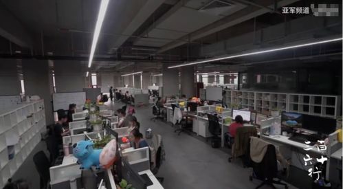 軟件服務之外的人生 流水線、群演與客服中的情感溫度